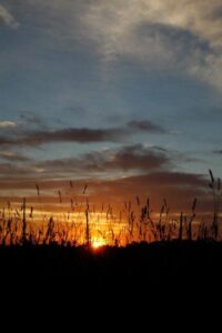 Hitting the Mark Image